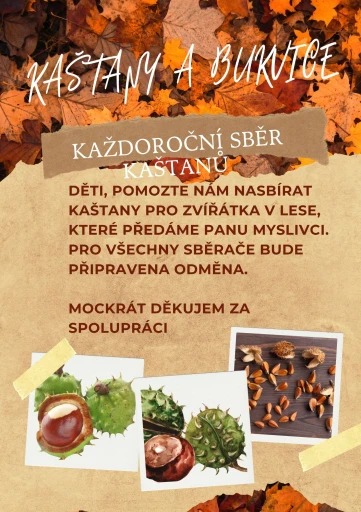 Obrázek 1